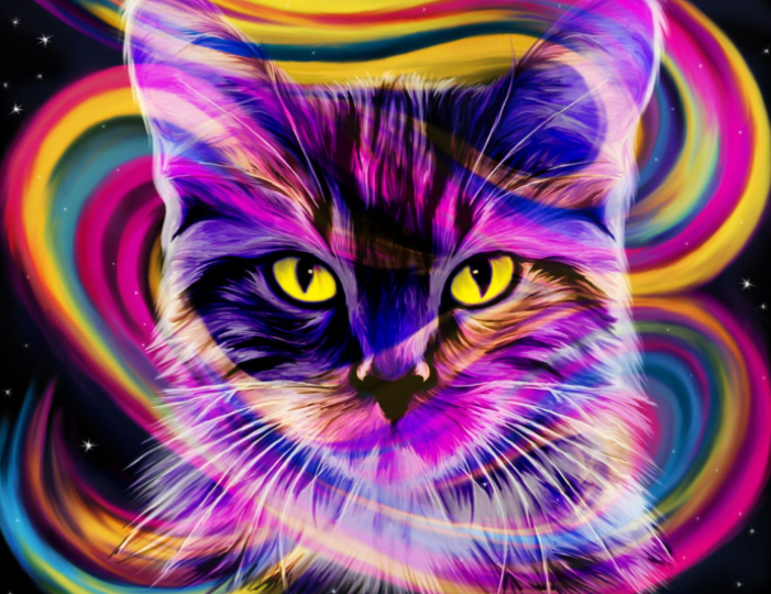 cat paint by numbers