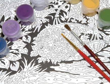 paint by numbers kits Australia