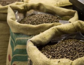 buy coffee beans NZ